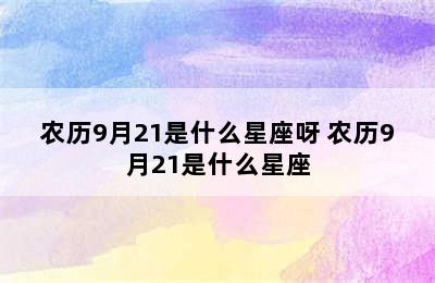 农历9月21是什么星座呀 农历9月21是什么星座